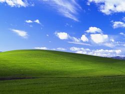 Microsoft  Windows XP